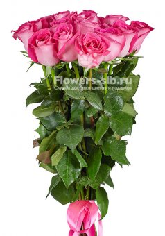 Premium Pink roses